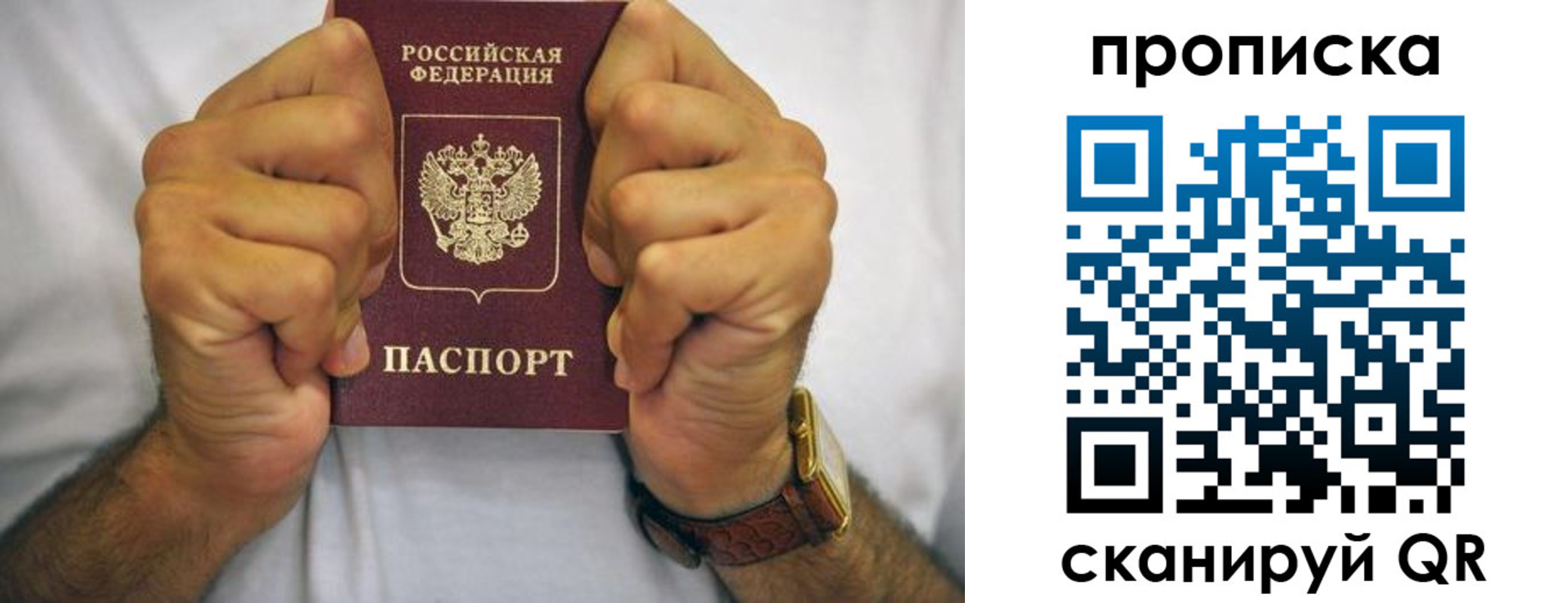 прописка в Ростовской области